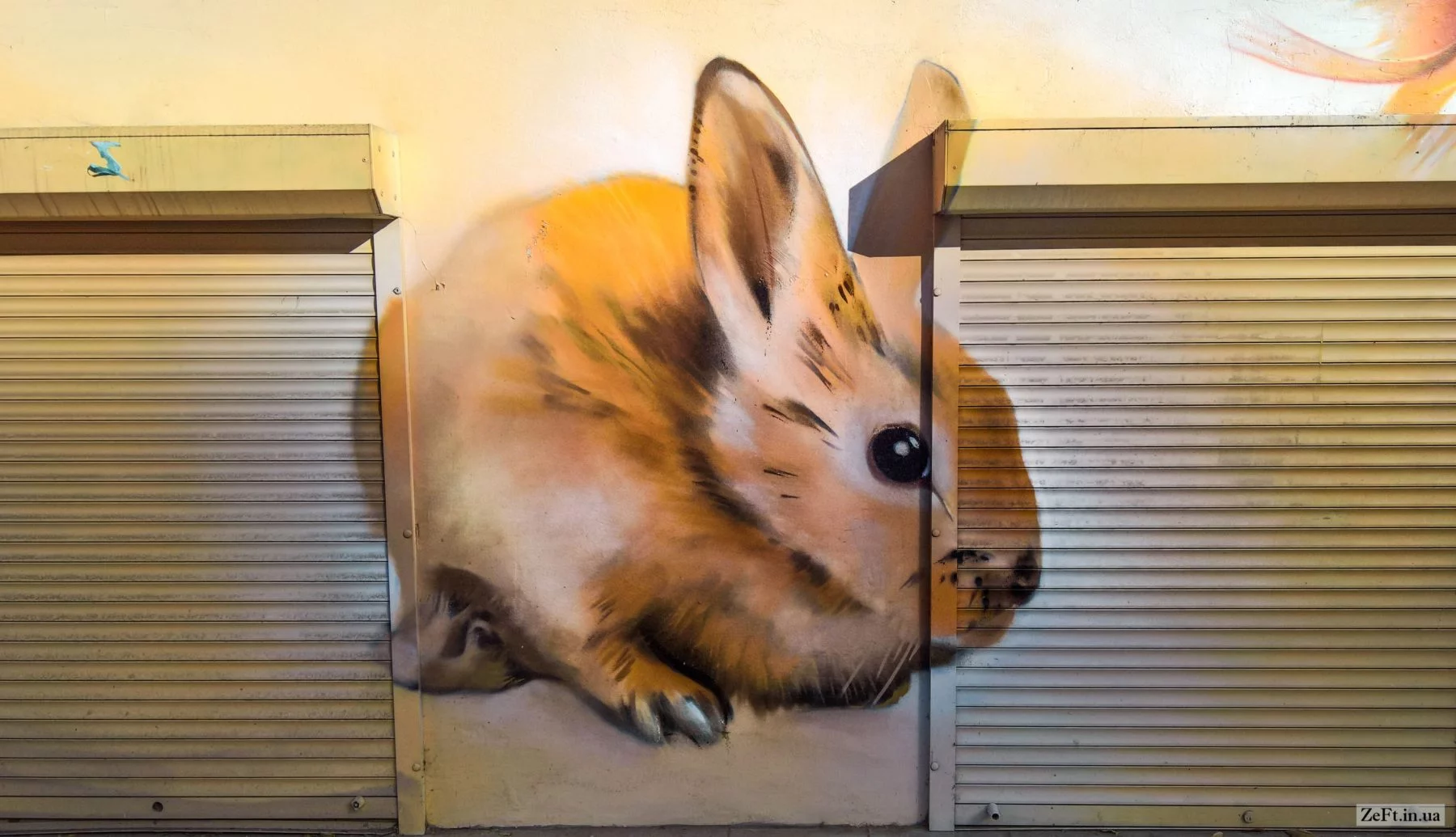 hcc3jj.webp