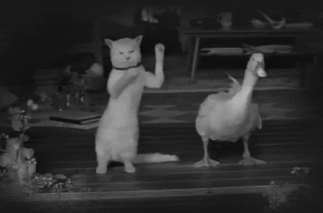hccag2.gif