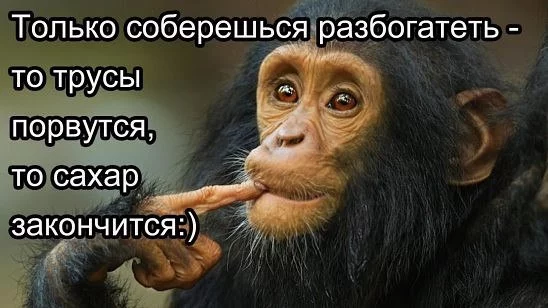 hcd9ga.webp