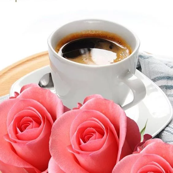 hcdf6a.webp