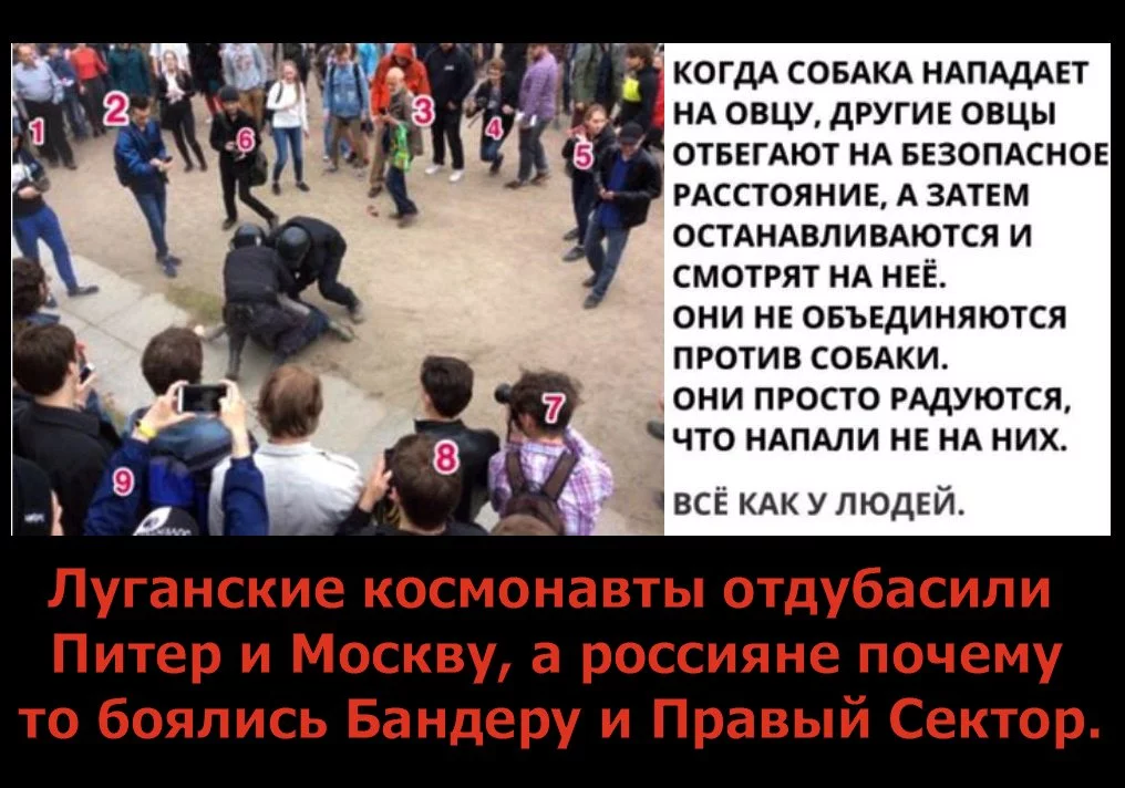 hce8cg.webp