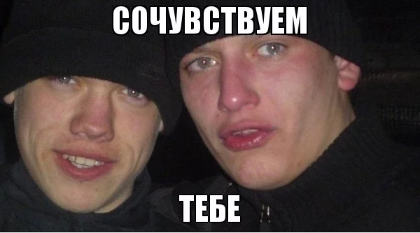 hcMgqP0JFag.webp