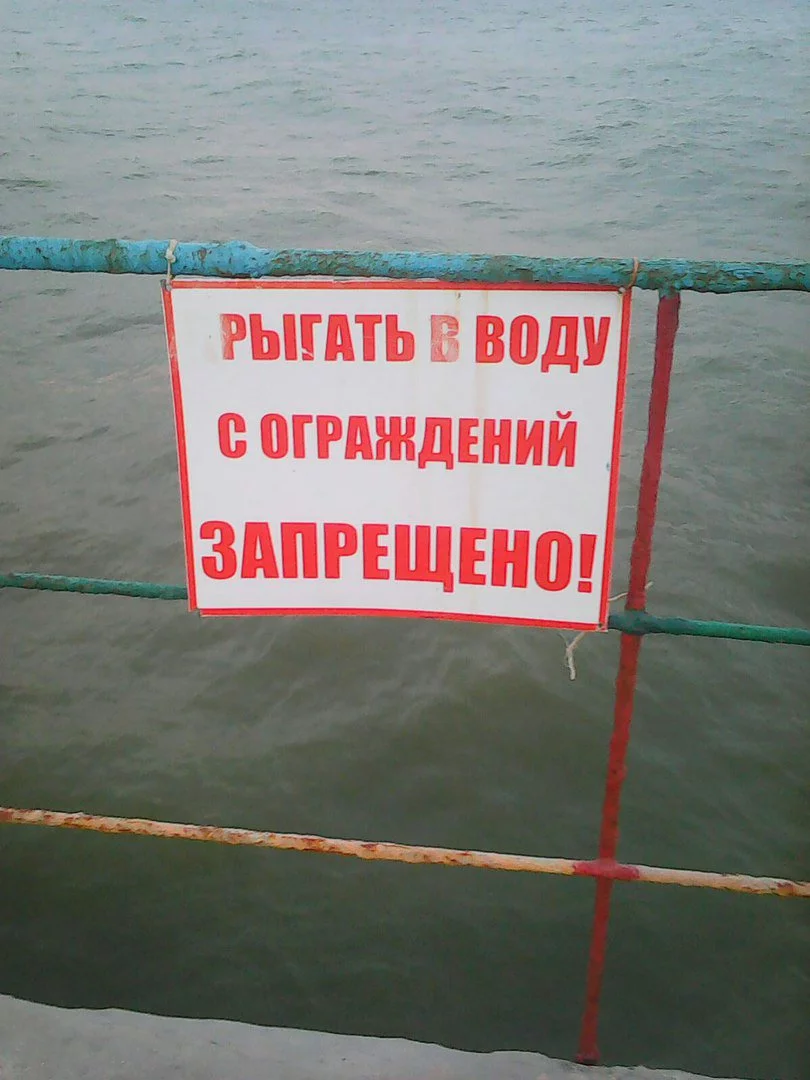 hd0dcf.webp
