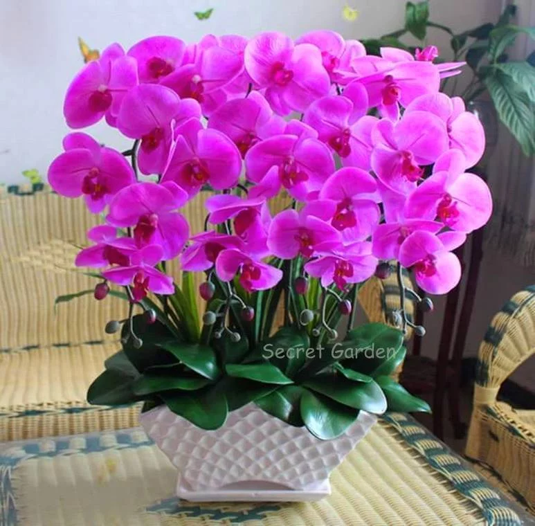 hd9ade.webp