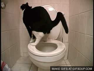 hdba8j.gif