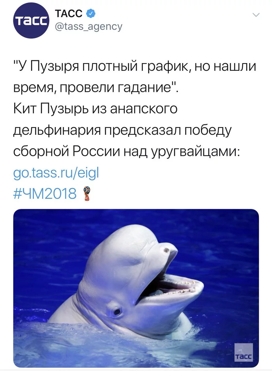 hdbcg9.webp