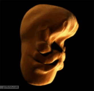 hdbd1b.gif