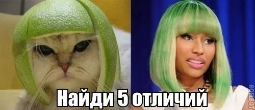 hDDiwTp32Gs.webp