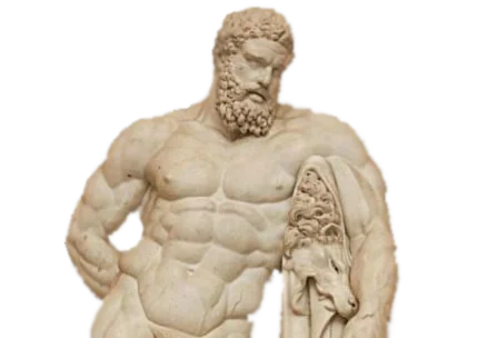 hddjg6.webp