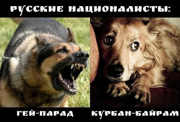 hdeb0j.webp