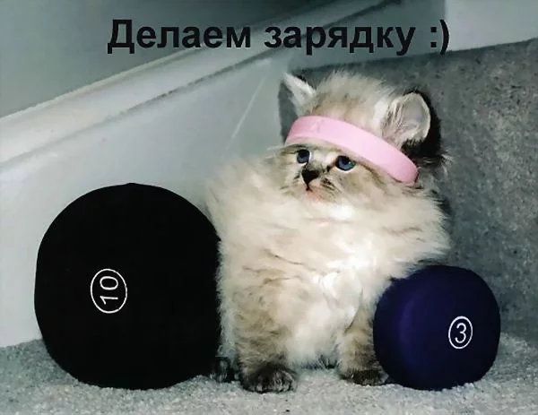 hdeg9f.webp
