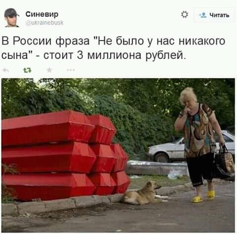 hdfg5g.jpg