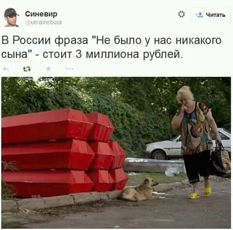 hdfg5g.webp