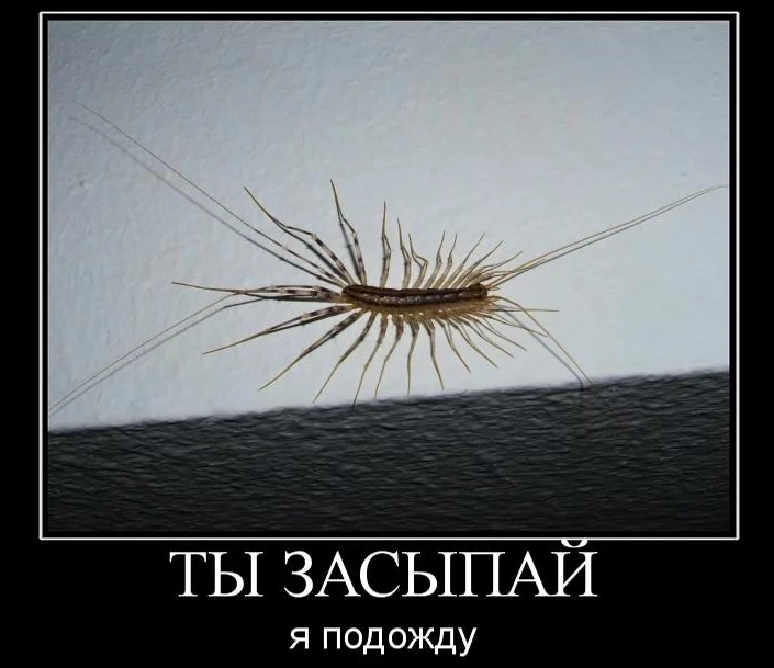 hdgd6a.webp