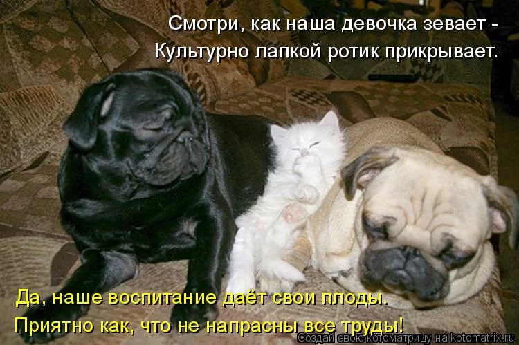 hdhfb0.webp