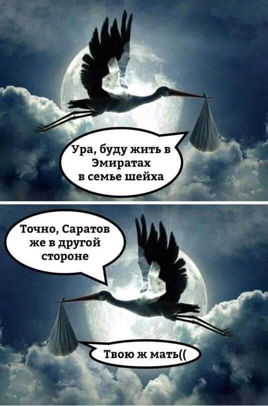 hdhfj9.webp