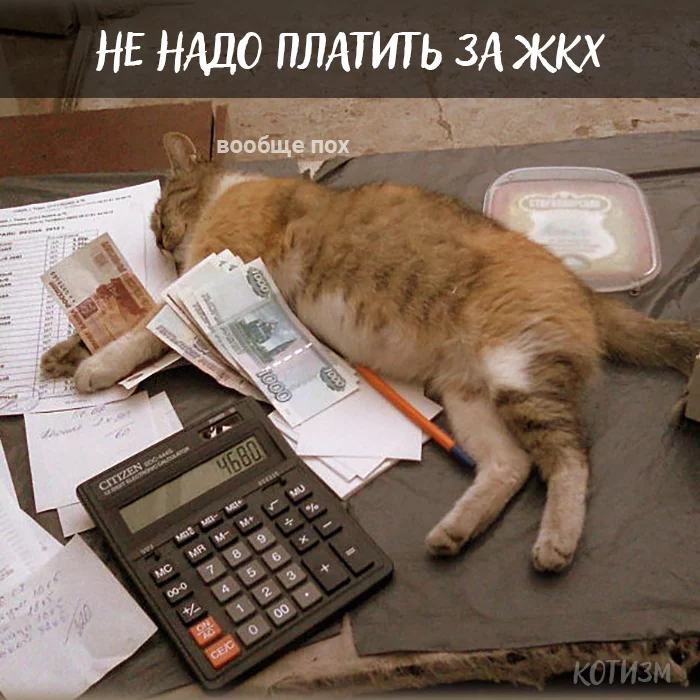 hdhhc7.webp