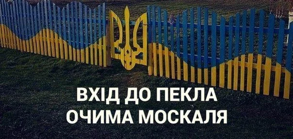 hdhhf2.webp