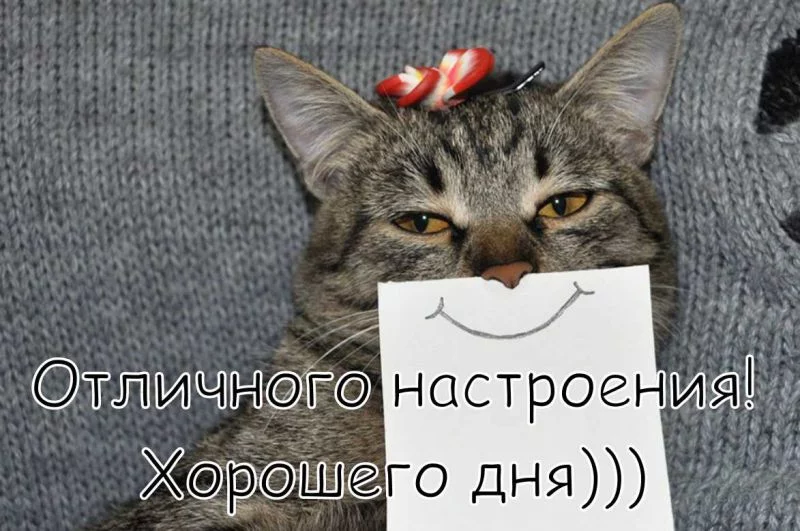 hdon-33-min.webp