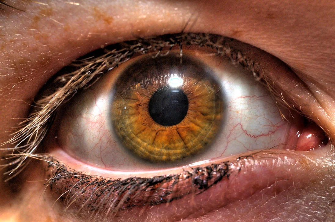 HDR_Eye_by_Anti_Martyr.webp