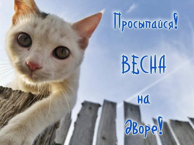 he2fab.webp