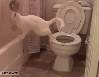 hea1dd.gif