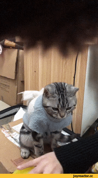 heabb0.gif
