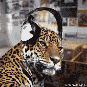 headphoneleopard.gif