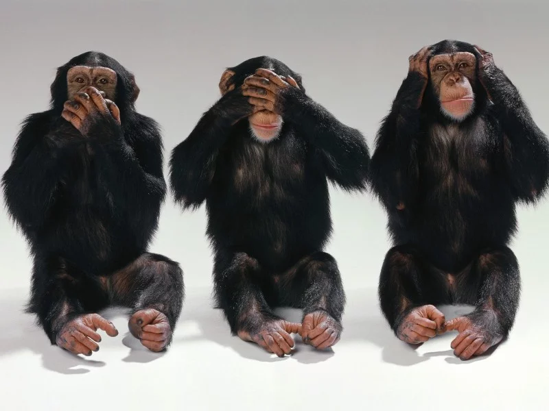 hear-see-speak-no-evil1.webp