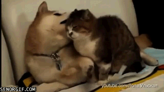 hecec9.gif