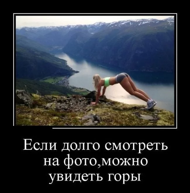 hedch5.webp