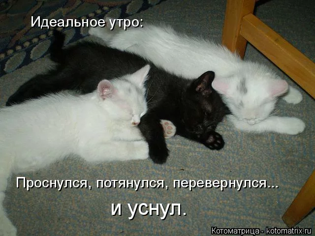 hedee4.webp