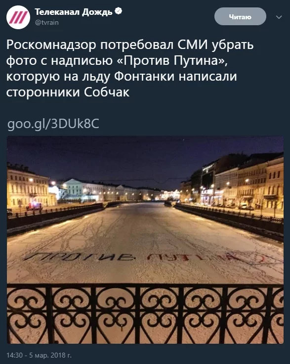 hedgj7.webp