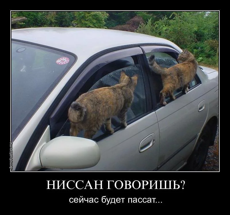 hee2fc.webp