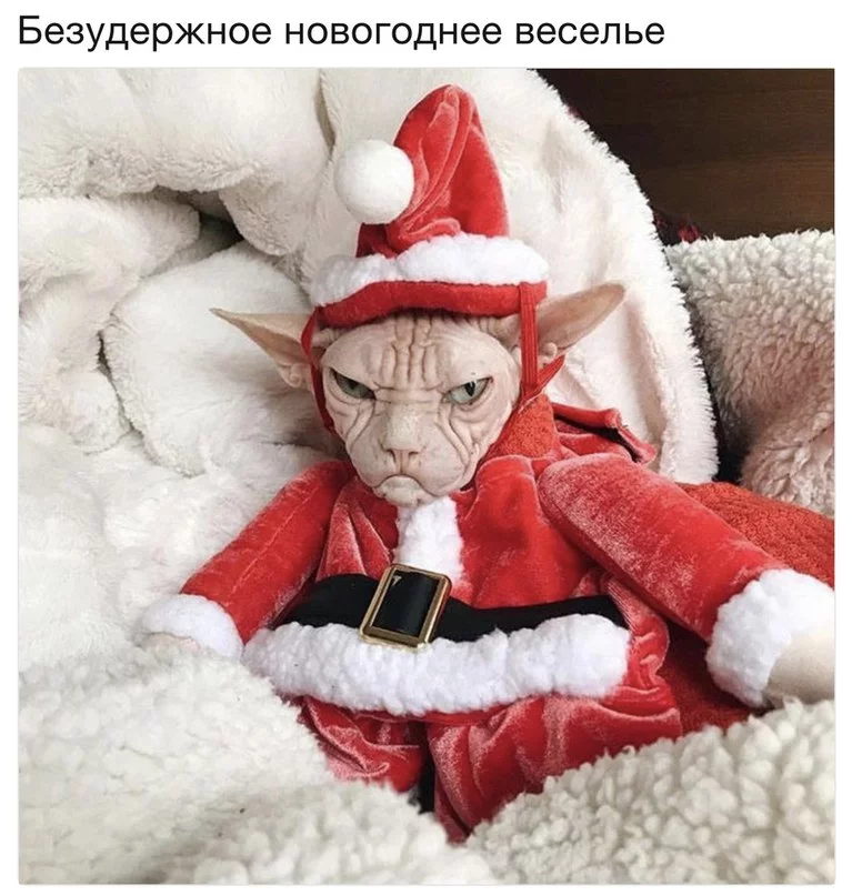 hef2je.webp