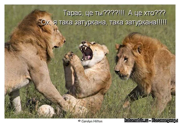 hegdd8.webp
