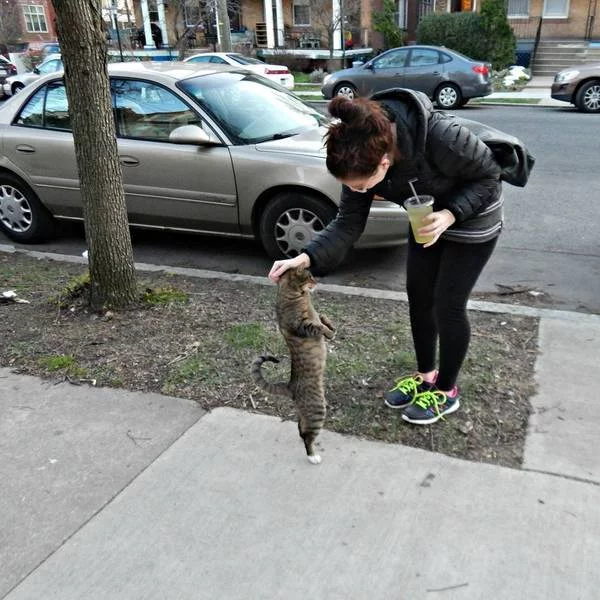 heghj0.webp