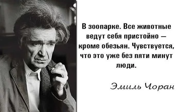 hehbe5.webp