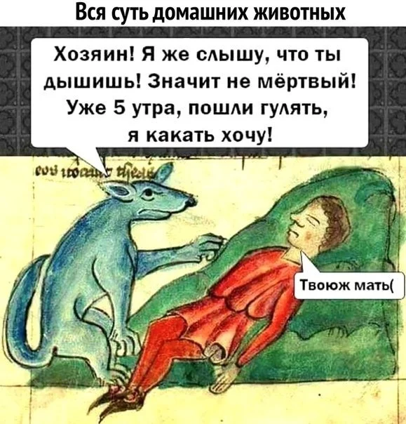 hf4gha.webp