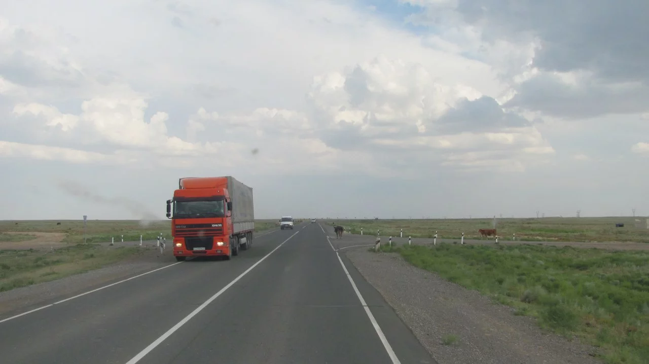 HF9dPqcXzak.webp