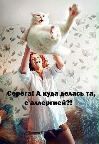 hfad1h.webp
