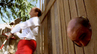 hfb2dg.gif