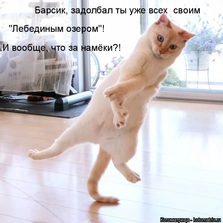 hfbc1c.webp