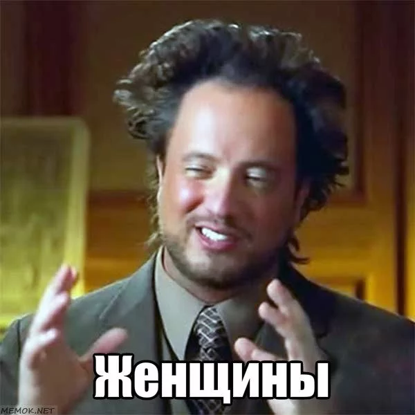 hfbgd3.webp