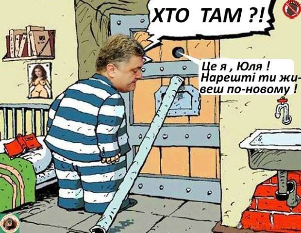 hfcag1.jpg