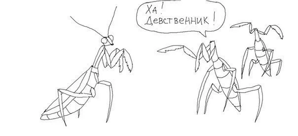 hfdha9.webp