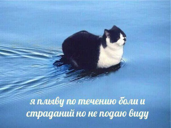 hfefc1.webp
