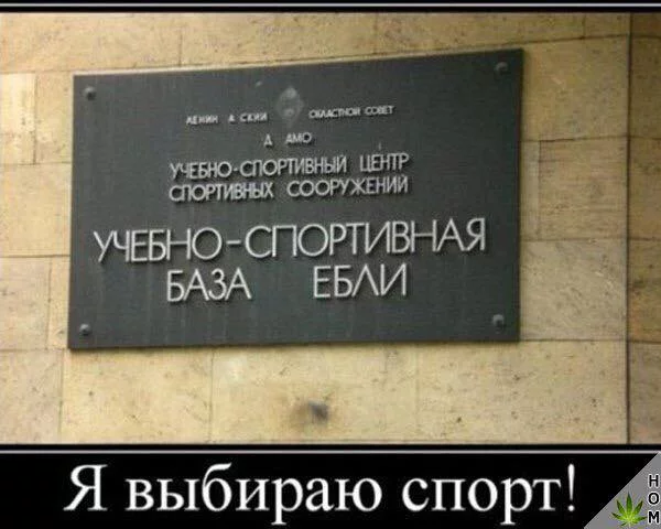 hfg0dd.webp