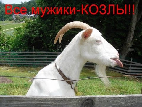 hfg4ec.jpg