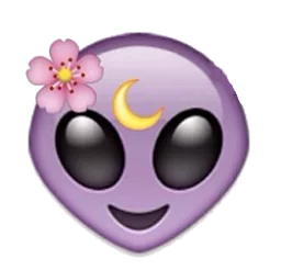 hfgdg4.webp